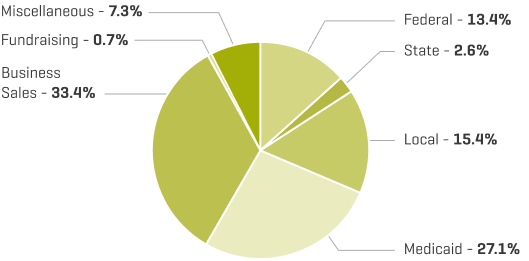 Financials - Revenue Chart