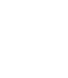 Pioneer logo